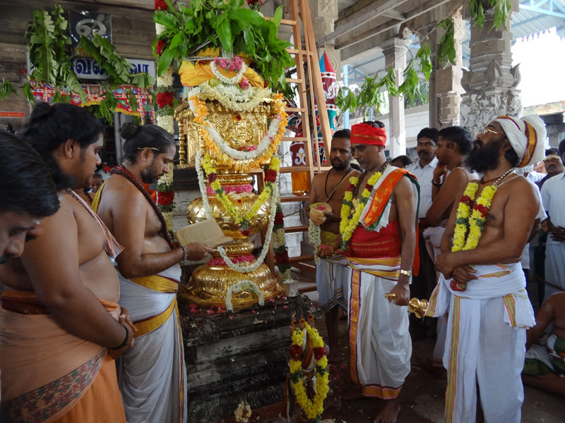 Thaipoosam festival palani